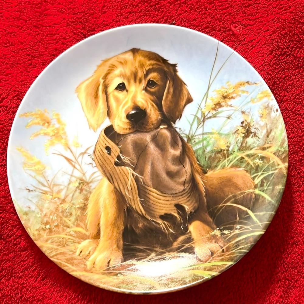 Vintage 1987 Knowles Golden Retriever Caught in the Act Collection Plate